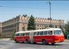 Zabytkowe autobusy i tramwaje na historycznych liniach