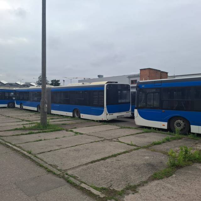 Zdjęcie Solaris